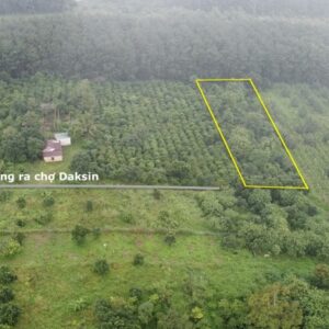 Alternative view of Chỉ 270 triệu lô đất hơn 1000m2 ngay lối xuống cao tốc Daknong