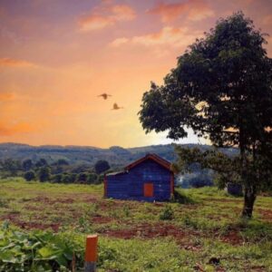 [Giảm giá 200 triệu] bán gấp lô đất để đáo hạn ngân hàng