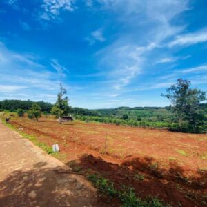 Alternative view of [Giảm giá 200 triệu] bán gấp lô đất để đáo hạn ngân hàng