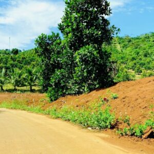 Alternative view of Giảm 50% so với giá gốc - Chính chủ gửi bán