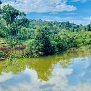 Giảm 50% so với giá gốc - Chính chủ gửi bán